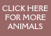 More Animal Images