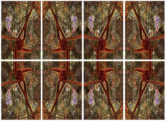 Hammocks In Paradise