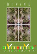 divine